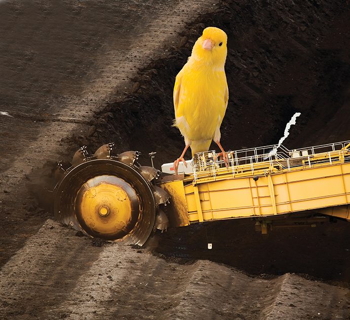 responsibility safety importance of being a canary in a coal mine for safety