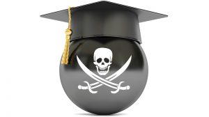 safety co-ordinator pirate image