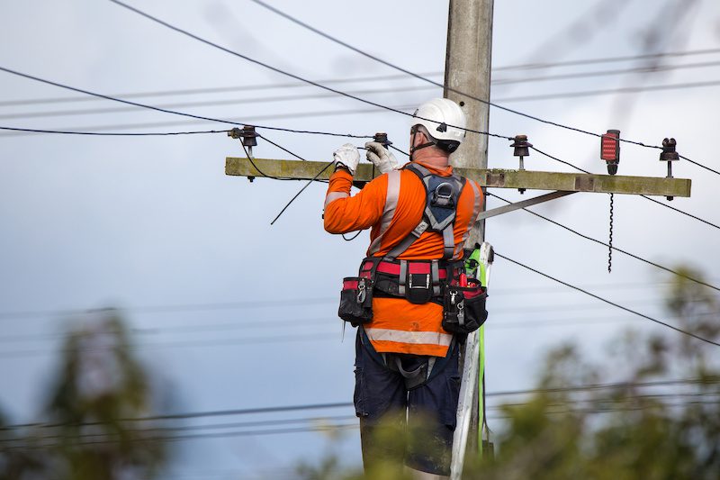 Energy safety victoria will aim to protect electrical line workers