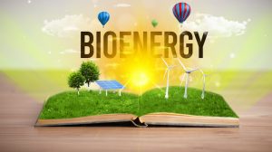 bioenergy