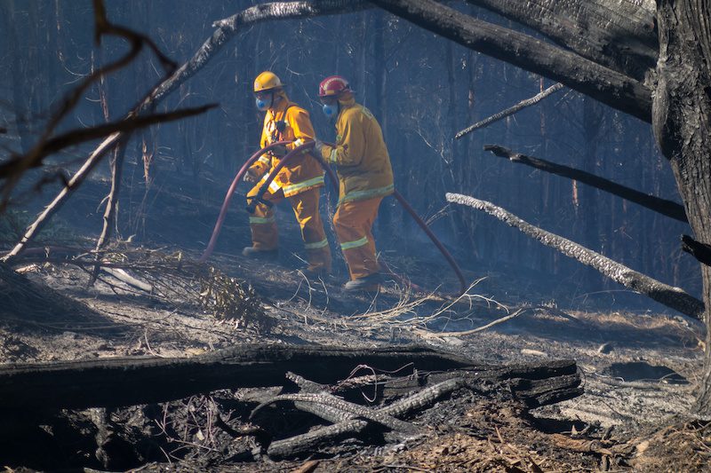 NSW bushfire